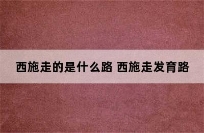 西施走的是什么路 西施走发育路